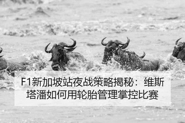 F1新加坡站夜战策略揭秘：维斯塔潘如何用轮胎管理掌控比赛