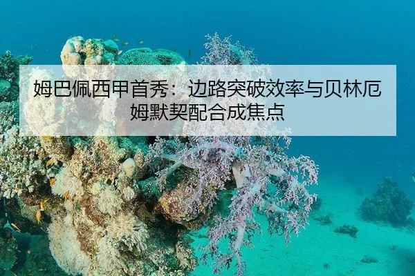 mu-ba-pei-xi-jia-shou-xiu-bian-lu-tu-po-xiao-lv-yu-bei-lin-e-mu-mo-qi-pei-he-cheng-jiao-dian-2-424.jpg