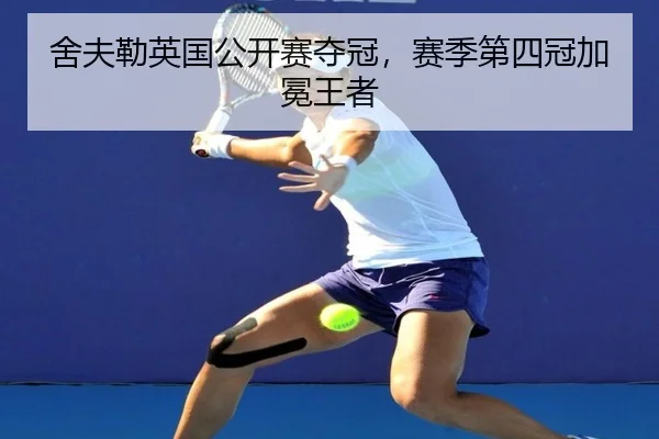 she-fu-lei-ying-guo-gong-kai-sai-duo-guan-sai-ji-di-si-guan-jia-mian-wang-zhe-2-648.jpg