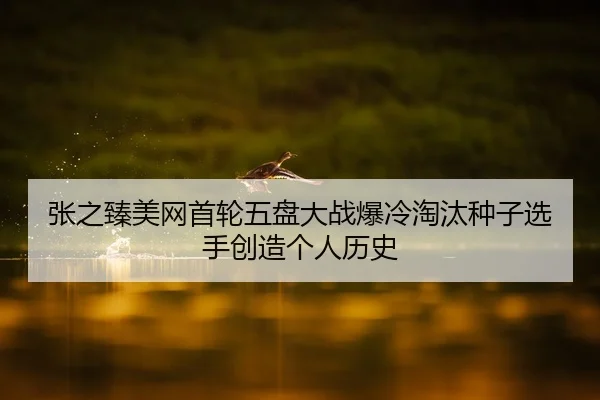 张之臻美网首轮五盘大战爆冷淘汰种子选手创造个人历史