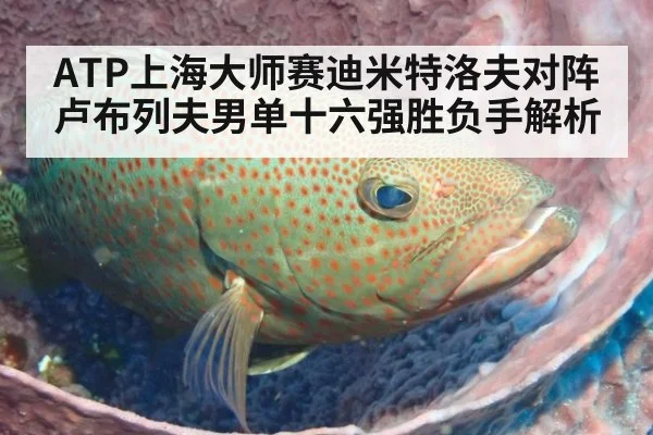 ATP上海大师赛迪米特洛夫对阵卢布列夫男单十六强胜负手解析